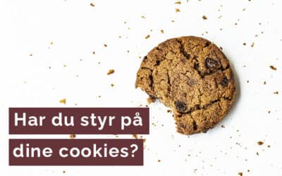 Video – Hvordan er det lige med Cookies?